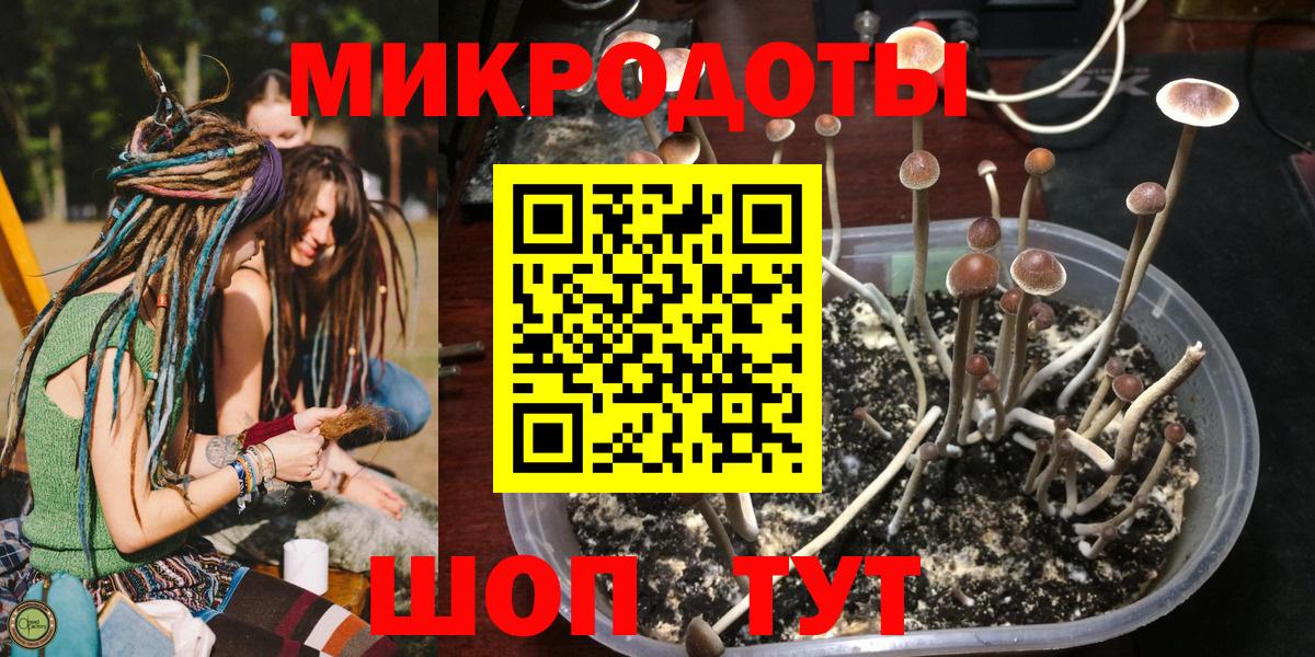 Псилоцибиновые грибы Psilocybine cubensis  Вход с VPN  Дивногорск  Псилоцибиновые грибы Psilocybe 