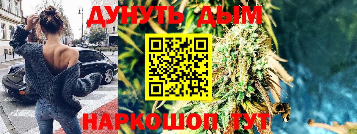 Каннабис план Дивногорск